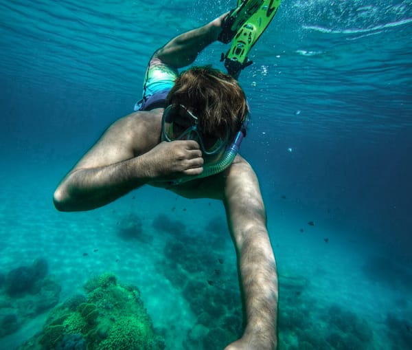 snorkeling on a dive trip