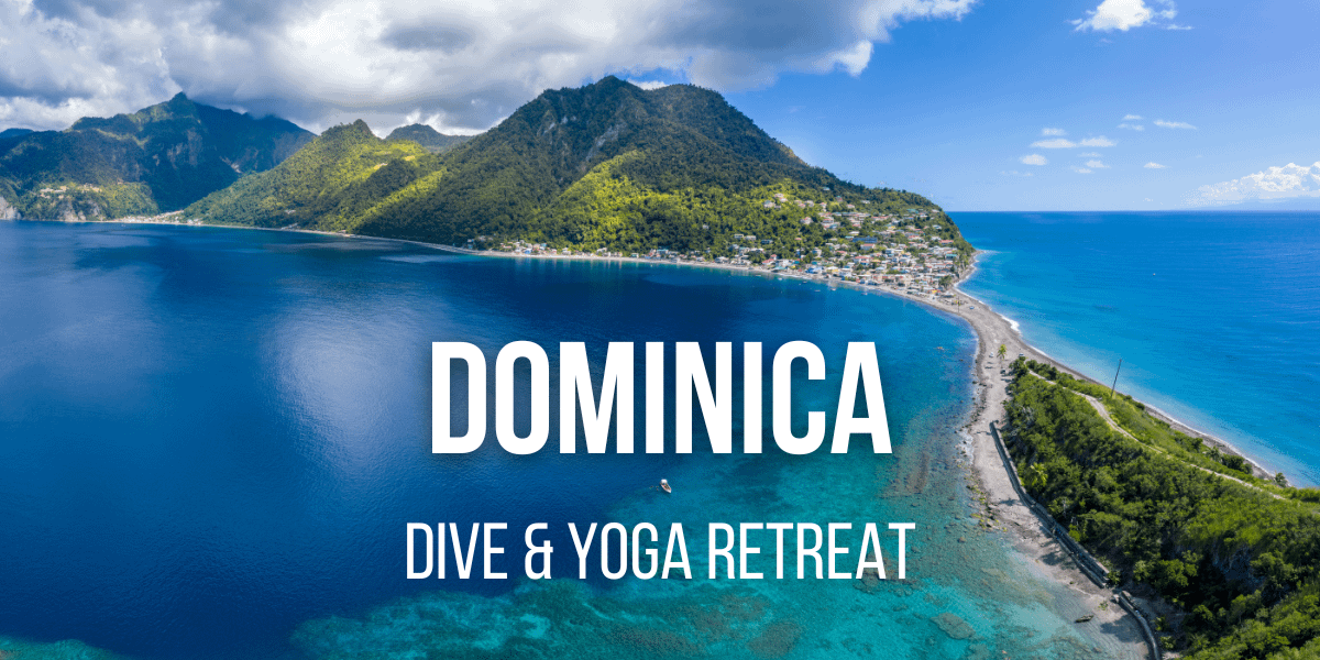 dominica dive and yoga retreat